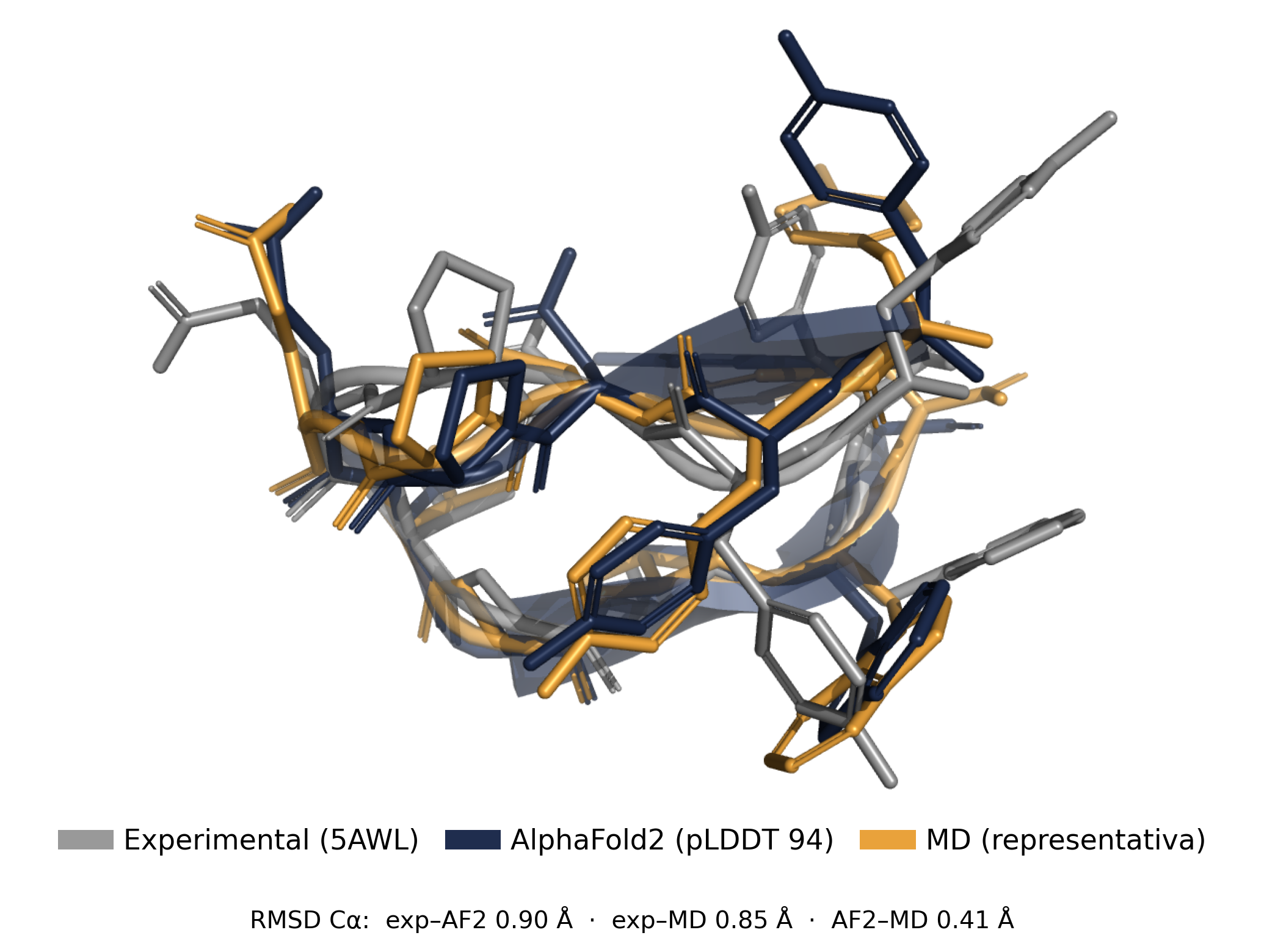 Tres estructuras de Chignolin superpuestas: la experimental, la de AlphaFold2 y la representativa de la simulación
